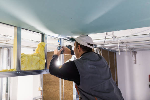 Best Insulation Repair Services  in Onarga, IL