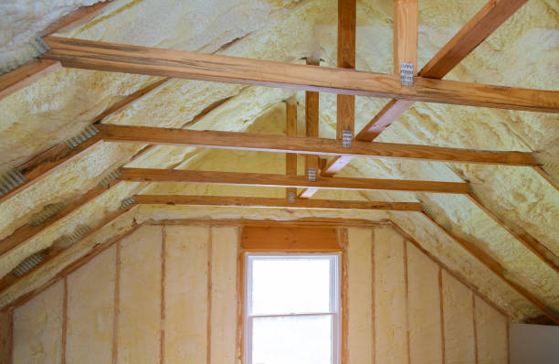Best Affordable Insulation Services  in Onarga, IL