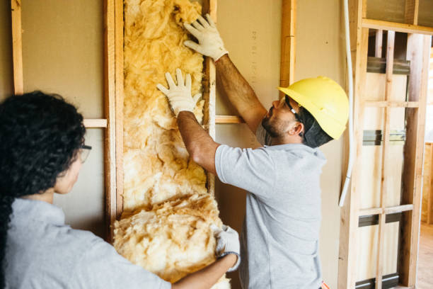 Best Insulation Contractors for Homes  in Onarga, IL