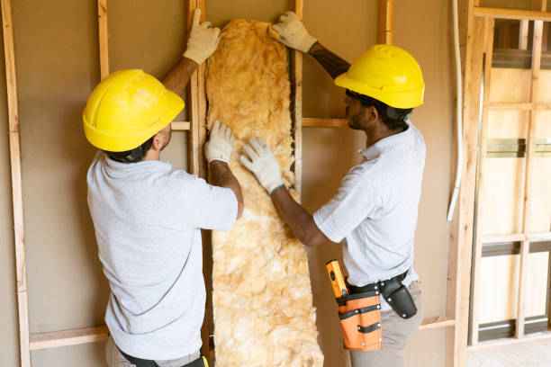 Best Insulation Inspection Services  in Onarga, IL
