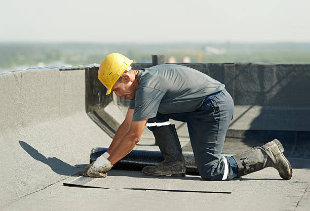 Best Cellulose Insulation  in Onarga, IL